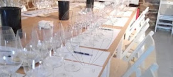 10 bedrooms House in Vila Nova de Foz Coa, Portugal No. 92451 19