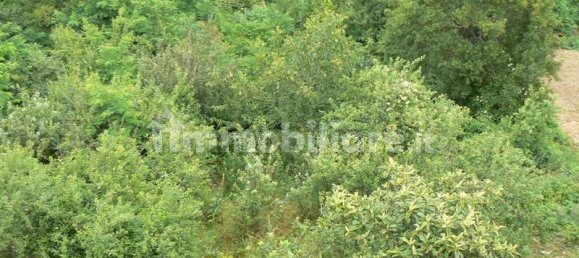 Casa de 3 dormitorios en Agnone, Italy No. 343733 12