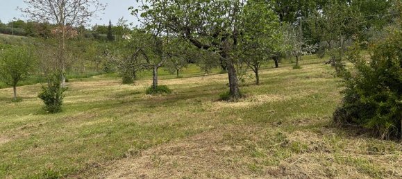 3 bedrooms Villa in Arpino, Italy No. 54517 49