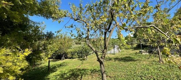 3 bedrooms Villa in Arpino, Italy No. 54517 44