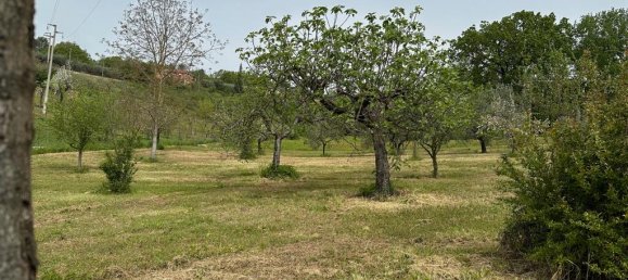 3 bedrooms Villa in Arpino, Italy No. 54517 50