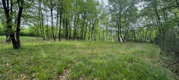 3 bedrooms Villa in Arpino, Italy No. 54517 4