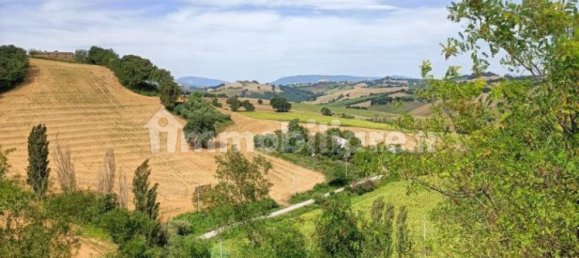 3 bedrooms Villa in Terre Roveresche, Italy No. 84291 31