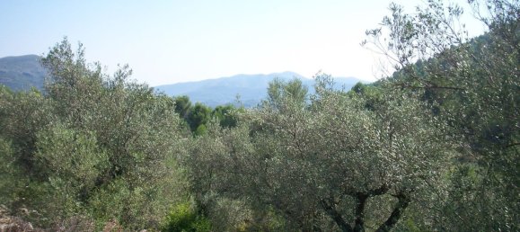 11649m² Land in Murla, Spain No. 152790 2