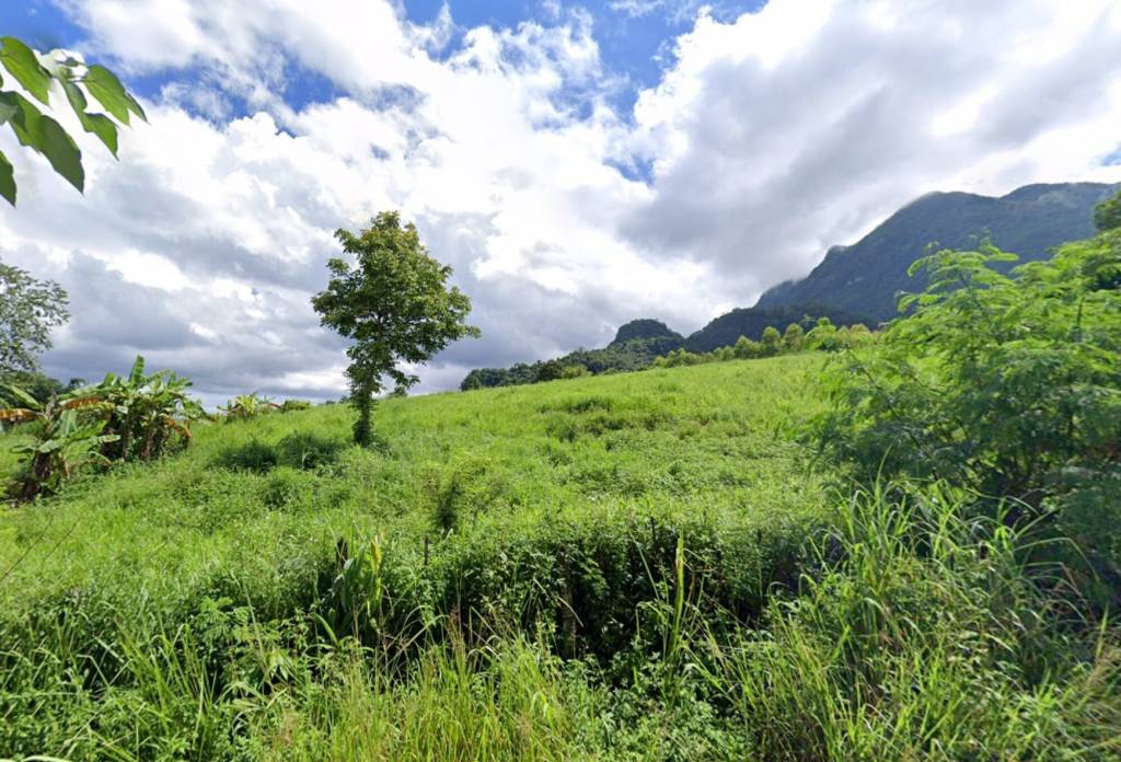 Земельный участок в Чианграй, Таиланд № 62949