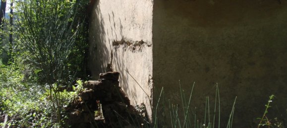 239440m² Land in Santa Fiora, Italy No. 257000 18