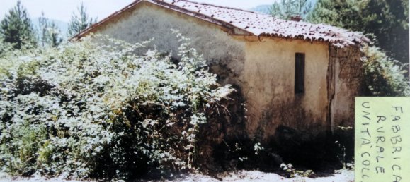 239440m² Land in Santa Fiora, Italy No. 257000 16