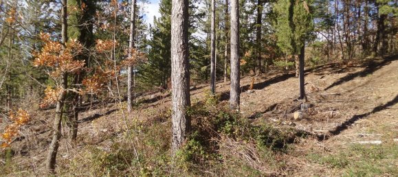 239440m² Land in Santa Fiora, Italy No. 257000 35