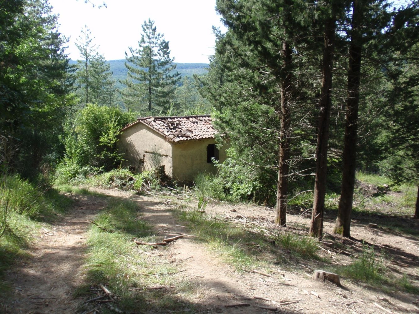 239440m² Land in Santa Fiora, Italy No. 257000