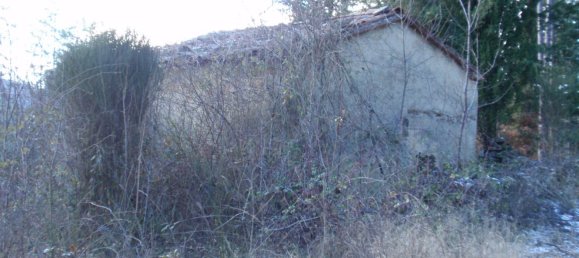 239440m² Land in Santa Fiora, Italy No. 257000 21