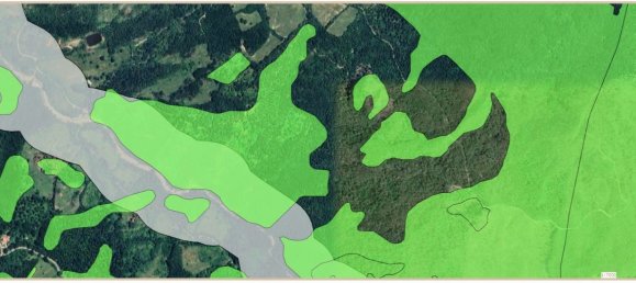 239440m² Land in Santa Fiora, Italy No. 257000 39