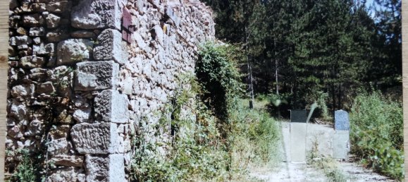 239440m² Land in Santa Fiora, Italy No. 257000 14