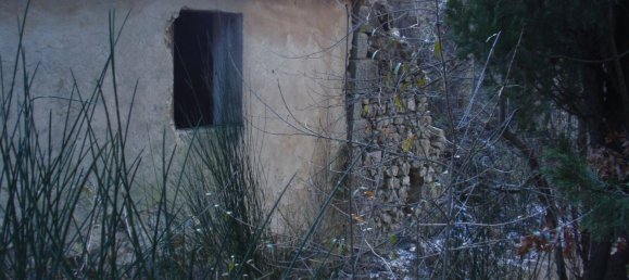 239440m² Land in Santa Fiora, Italy No. 257000 17