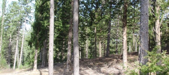 239440m² Land in Santa Fiora, Italy No. 257000 33