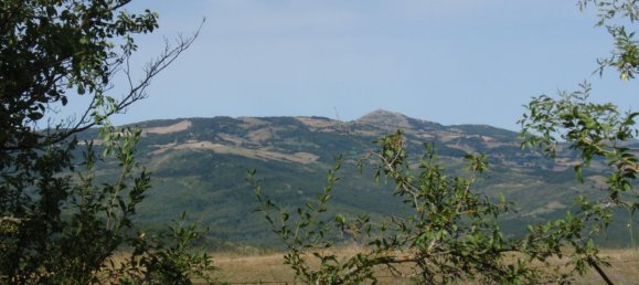 239440m² Land in Santa Fiora, Italy No. 257000 32