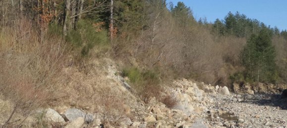 239440m² Land in Santa Fiora, Italy No. 257000 31