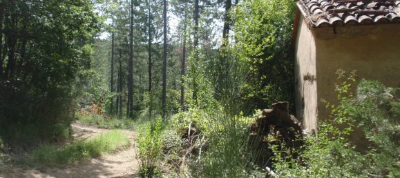 239440m² Land in Santa Fiora, Italy No. 257000 25