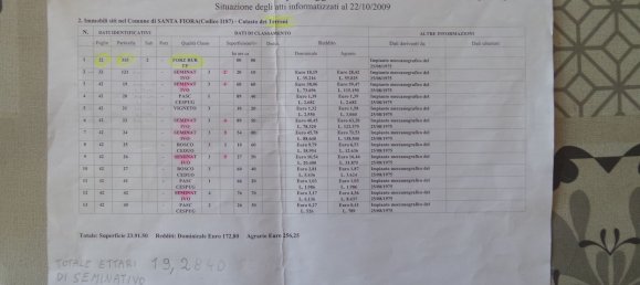 239440m² Land in Santa Fiora, Italy No. 257000 10