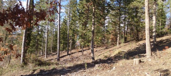 239440m² Land in Santa Fiora, Italy No. 257000 37