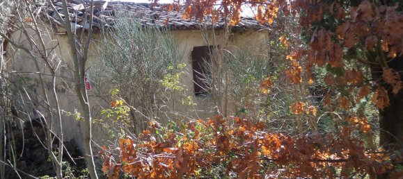 239440m² Land in Santa Fiora, Italy No. 257000 36