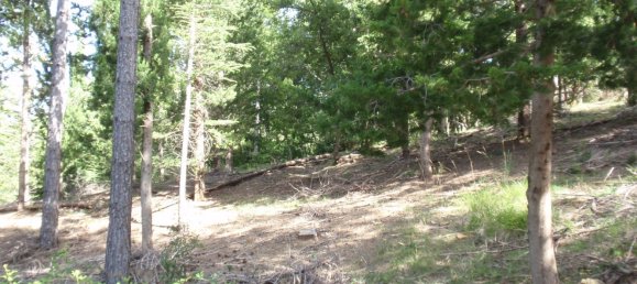 239440m² Land in Santa Fiora, Italy No. 257000 34