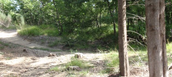 239440m² Land in Santa Fiora, Italy No. 257000 23