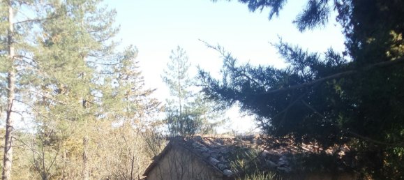 239440m² Land in Santa Fiora, Italy No. 257000 7