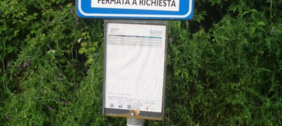 239440m² Land in Santa Fiora, Italy No. 257000 38