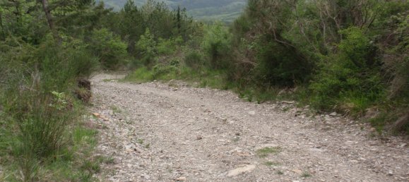 239440m² Land in Santa Fiora, Italy No. 257000 26