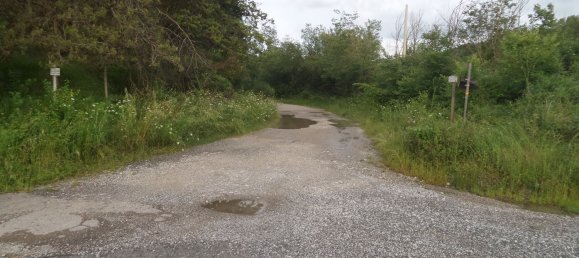 239440m² Land in Santa Fiora, Italy No. 257000 8