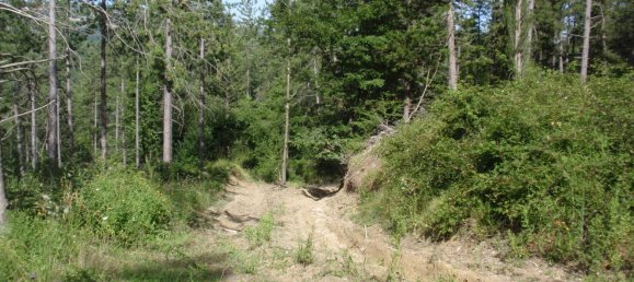 239440m² Land in Santa Fiora, Italy No. 257000 20