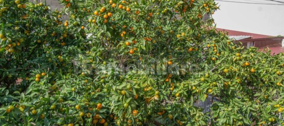 4 bedrooms House in Messina, Italy No. 141579 36