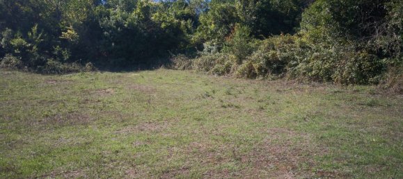  Land in Bracciano, Italy No. 78357 7