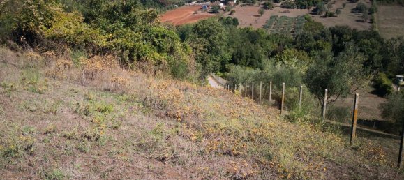  Land in Bracciano, Italy No. 78357 4