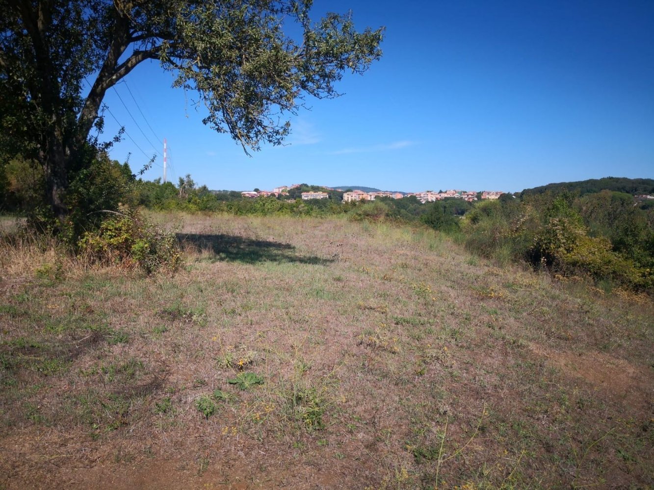  Land in Bracciano, Italy No. 78357