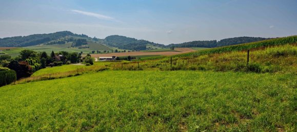 Terreno en Leibnitz, Austria No. 128039 13
