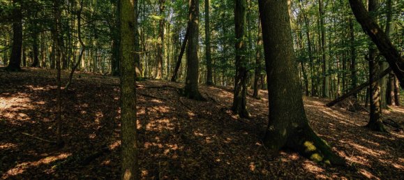 Terreno en Leibnitz, Austria No. 128039 10