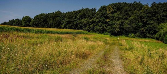 Terreno en Leibnitz, Austria No. 128039 6