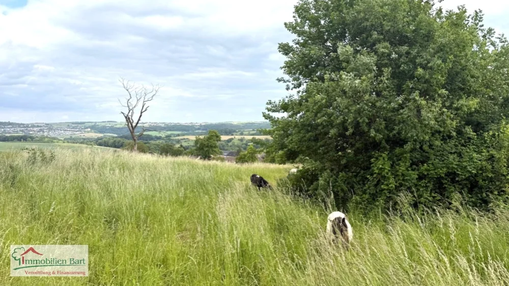 Grundstück in Trier-Saarburg, Germany, Nr. 337324