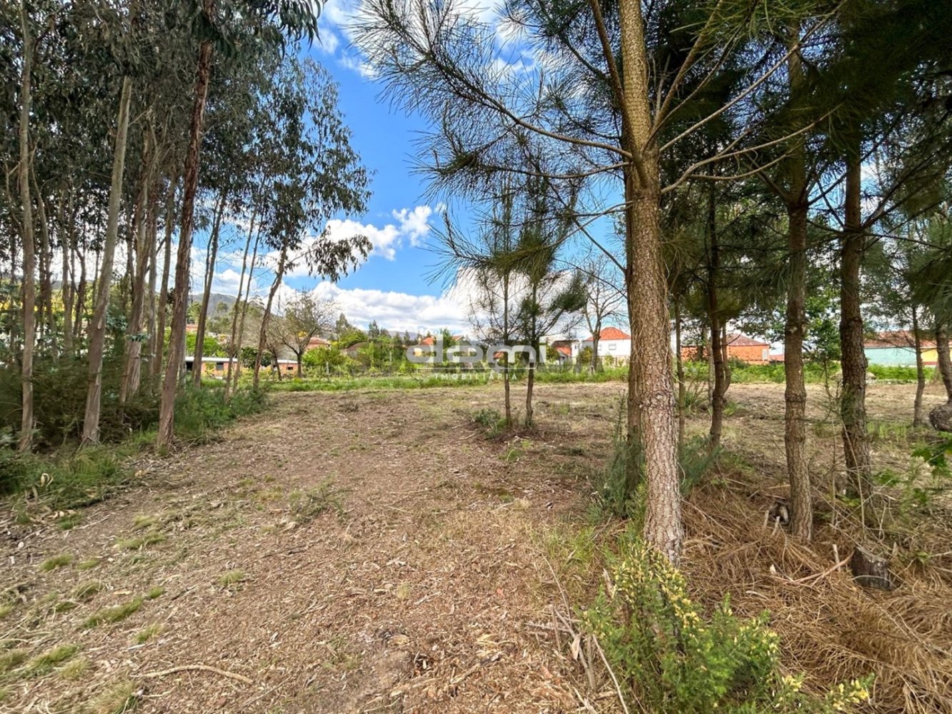 Grundstück in Sao Pedro do Sul, Portugal, Nr. 346874