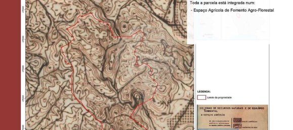 Terrain à Mexilhoeira Grande, Portugal 209000m² No. 71570 23