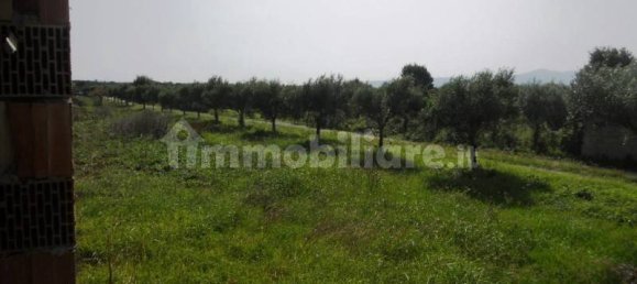 5-Zimmer Gebäude in Lamezia Terme, Italy, Nr. 222228 5