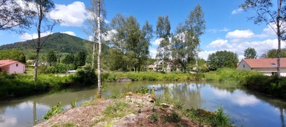 Terrain à Saulcy-sur-Meurthe, France 8882m² No. 265898 3