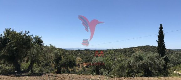 15000m² Land in Santa Catarina da Fonte do Bispo, Portugal No. 68748 12