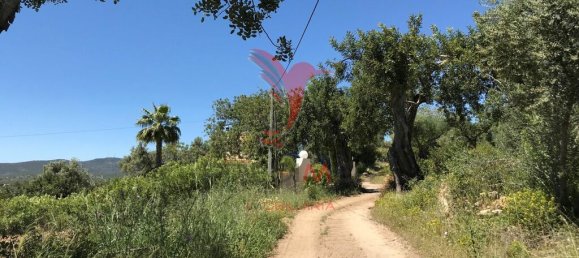 15000m² Land in Santa Catarina da Fonte do Bispo, Portugal No. 68748 14