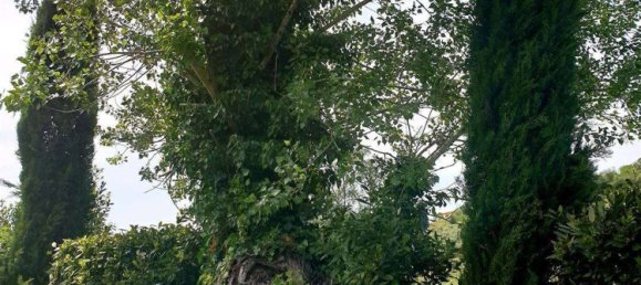 7 rooms House in Casciana Terme Lari, Italy No. 238611 7