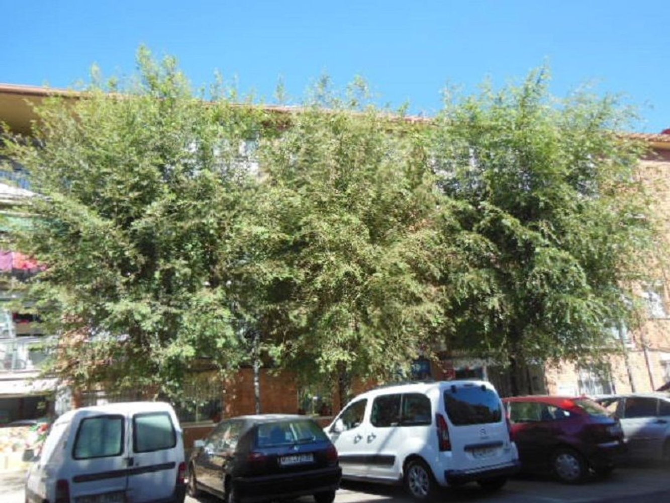 Apartamento de 2 dormitorios en Guadalajara, Spain No. 241139