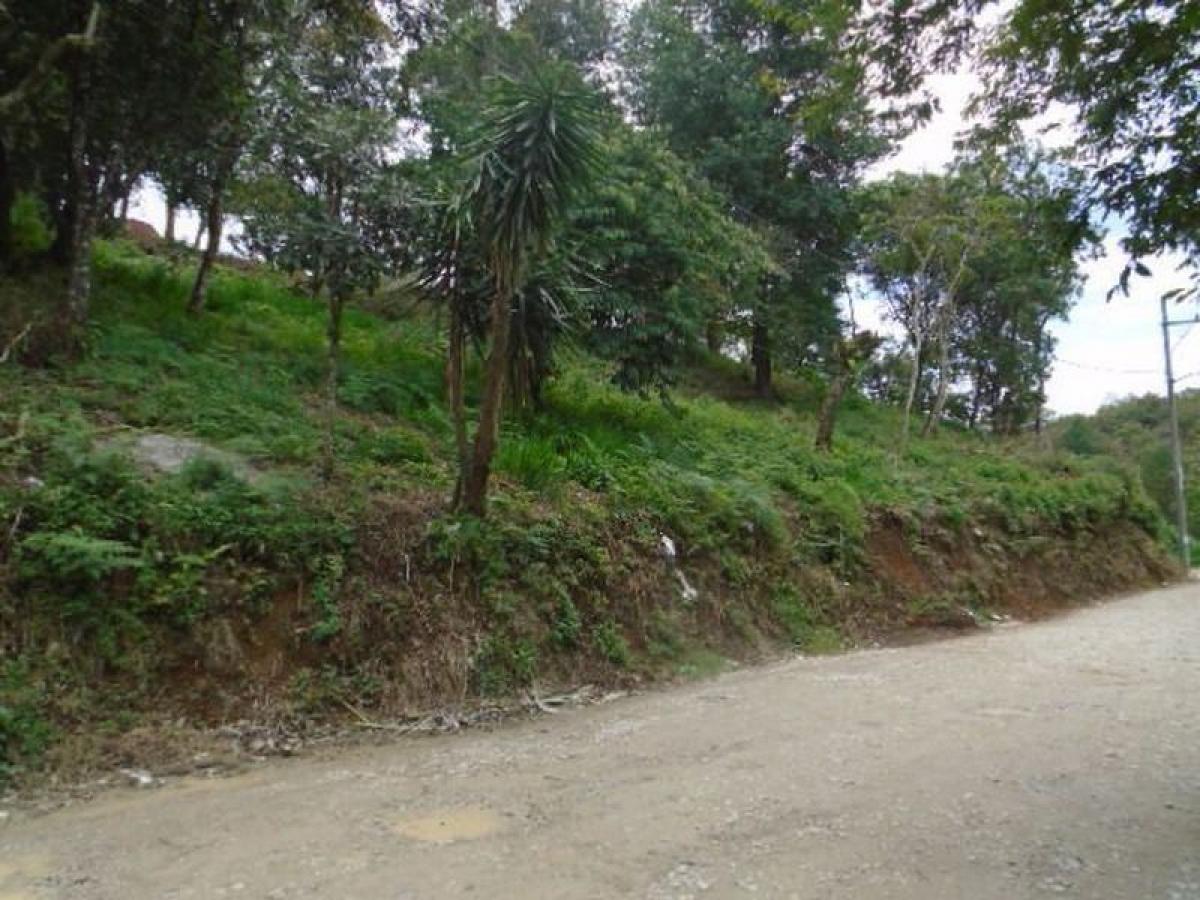 Terreno en Veracruz, Mexico No. 206946