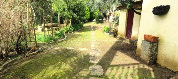 7 غرف نوم فيلا في Amarante, Portugal رقم 333334 42