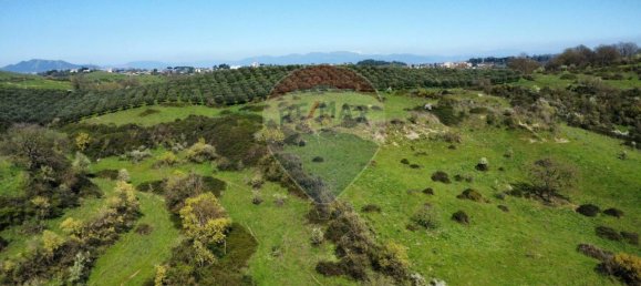 1 room Land in Castelnuovo di Porto, Italy No. 14864 4